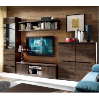 Модульнаа система ДЖУЛІ