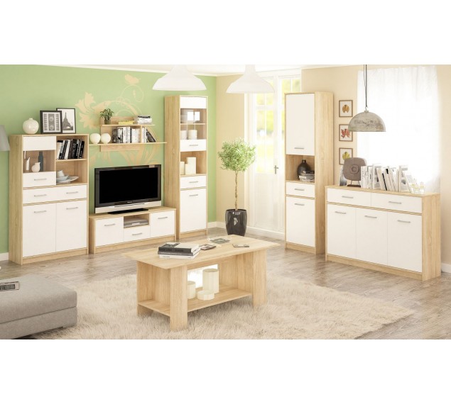 Модульная система ТИПС 